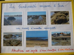 panneau biodiversité